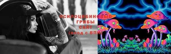 трава Армянск