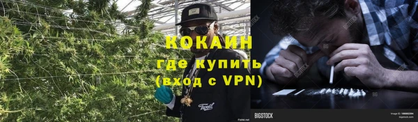 трава Армянск